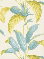 TROPICANE - SCALLION