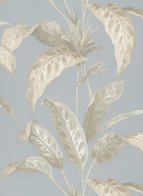 TROPICANE - SEA NOR SKY