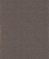 SEEDPOD - PONTEFRACT