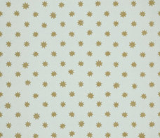 LOWER GEORGE ST - BERYL