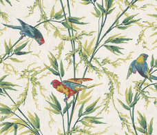 GREAT ORMOND ST - TROPICAL