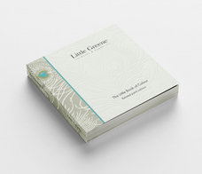 Little Book Of Colour