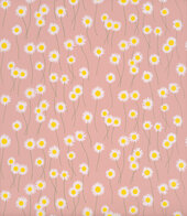 Moon Daisies - Hellebore