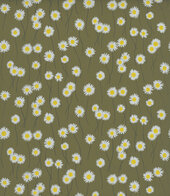 Moon Daisies - Olive Colour